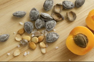 EU project supports Armenian entrepreneur to launch salted apricot kernels