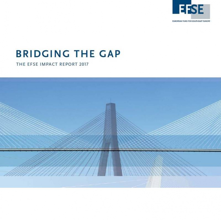 EFSE publishes impact report highlighting support for small businesses