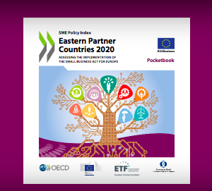 OECD launches SME Policy Index 2020 assessing conditions of doing business in the EaP region