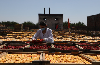 Developing Food Safety Enforcement in Armenia with European Union’s EU4Business Initiative