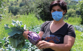 Armenian women farmers go co-op and green in Vardablur