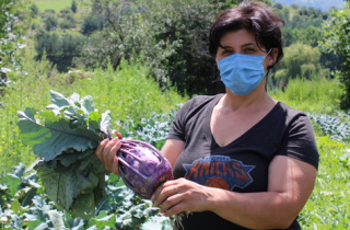 Armenian women farmers go co-op and green in Vardablur