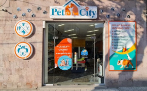 Քովիդի ընթացքում մեկուսացումը ոգեշնչեց Երևանի «Pet City» ընկերությանն աճել