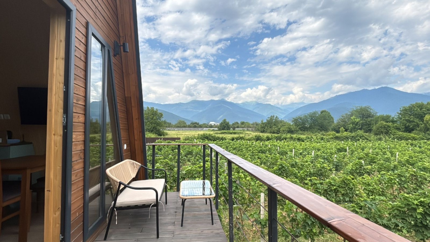 Bringing Father’s Vineyard Dream to Life with EU Support